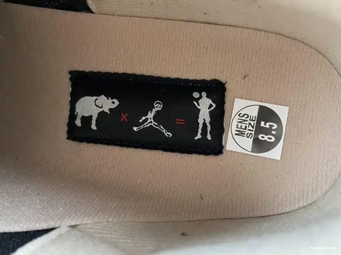 HYPE Jordan Desert 3 CT8532-008 Air Elephant 0624